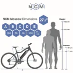 Detaillierte Größen- und Geometriemaße des NCM Moscow Plus 207,5 Zoll E-Bikes zur optimalen Passformwahl