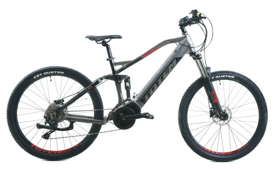 TOTEM Carry E-Mountainbike in Grau – leistungsstarkes Elektro-MTB für Offroad-Trails und Outdoor-Abenteuer