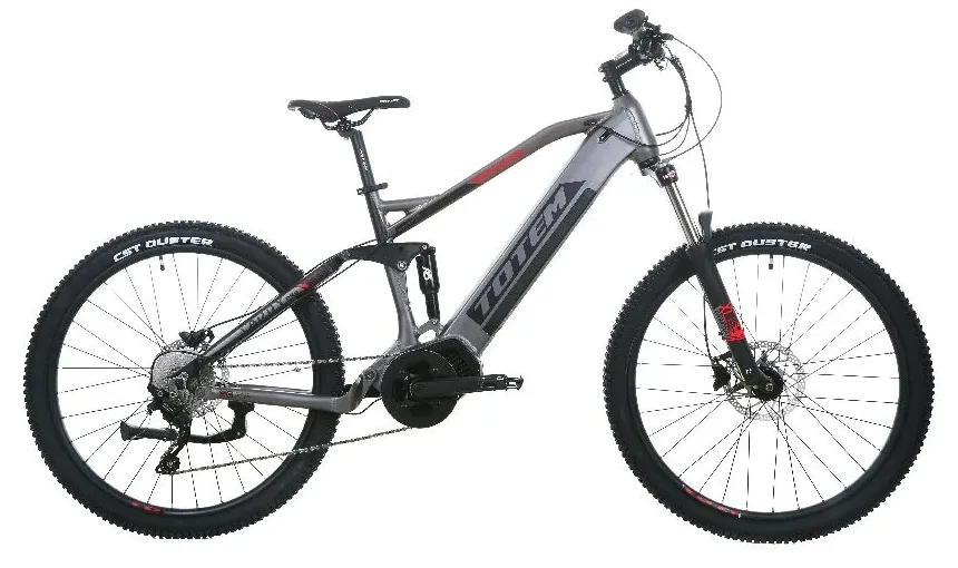 TOTEM Carry Pro E-Mountainbike in Grau – vielseitiges Elektro-MTB für Outdoor-Fahrten und anspruchsvolles Gelände