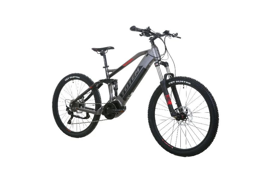 TOTEM Carry Pro E-Mountainbike in Grau – leistungsstarkes E-Mountainbike für Trails, Waldwege und steile Anstiege