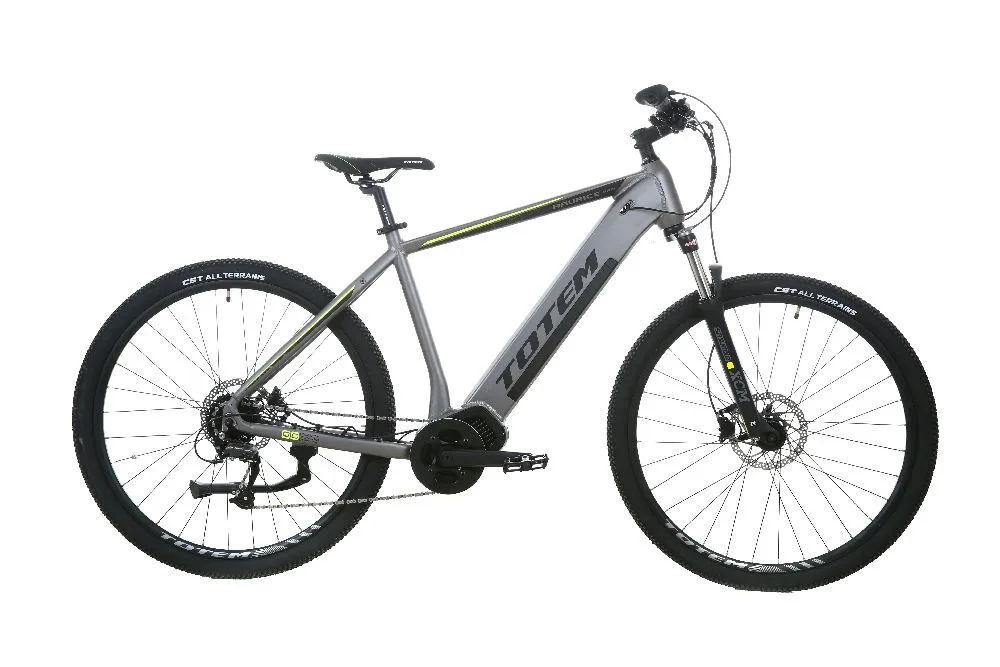 TOTEM Maurice Pro E-Mountainbike in Silber – robustes Elektro-MTB für anspruchsvolle Offroad-Trails