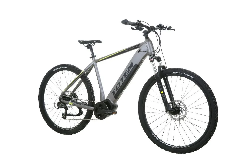 TOTEM Maurice Pro E-Mountainbike in Silber – leistungsstarkes Elektro-MTB für Offroad-Trails und Outdoor-Abenteuer