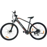 E-Rock Advance X1 E-Mountainbike in Schwarz – komfortables und starkes MTB für Outdoor-Abenteuer
