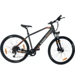 E-Rock Advance X1 E-Mountainbike in schwarz – leistungsstarkes Elektro-MTB für anspruchsvolle Trails und Offroad-Abenteuer