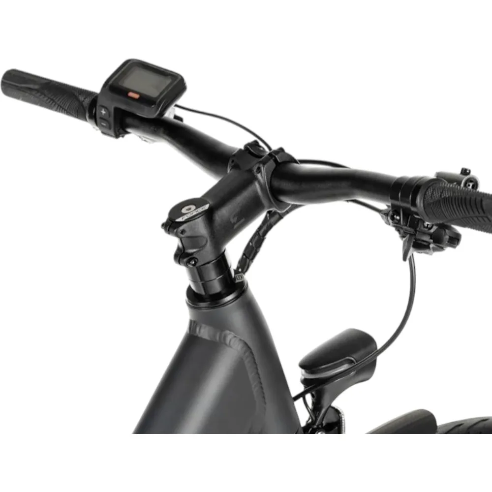 Lenker eines Eonic One Comfort Limited E-Bikes – Detailansicht