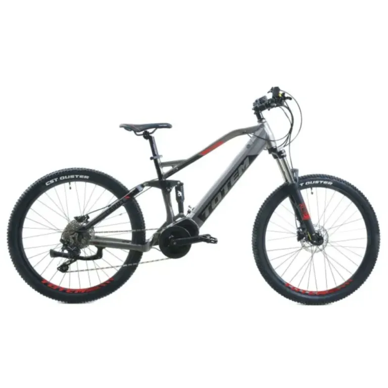 TOTEM Carry E-Mountainbike in Grau – robustes Elektro-MTB für anspruchsvolle Trails und Offroad-Abenteuer