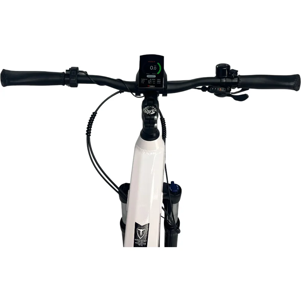 Lenker am TOTEM Delta E-Bike – Seitenansicht