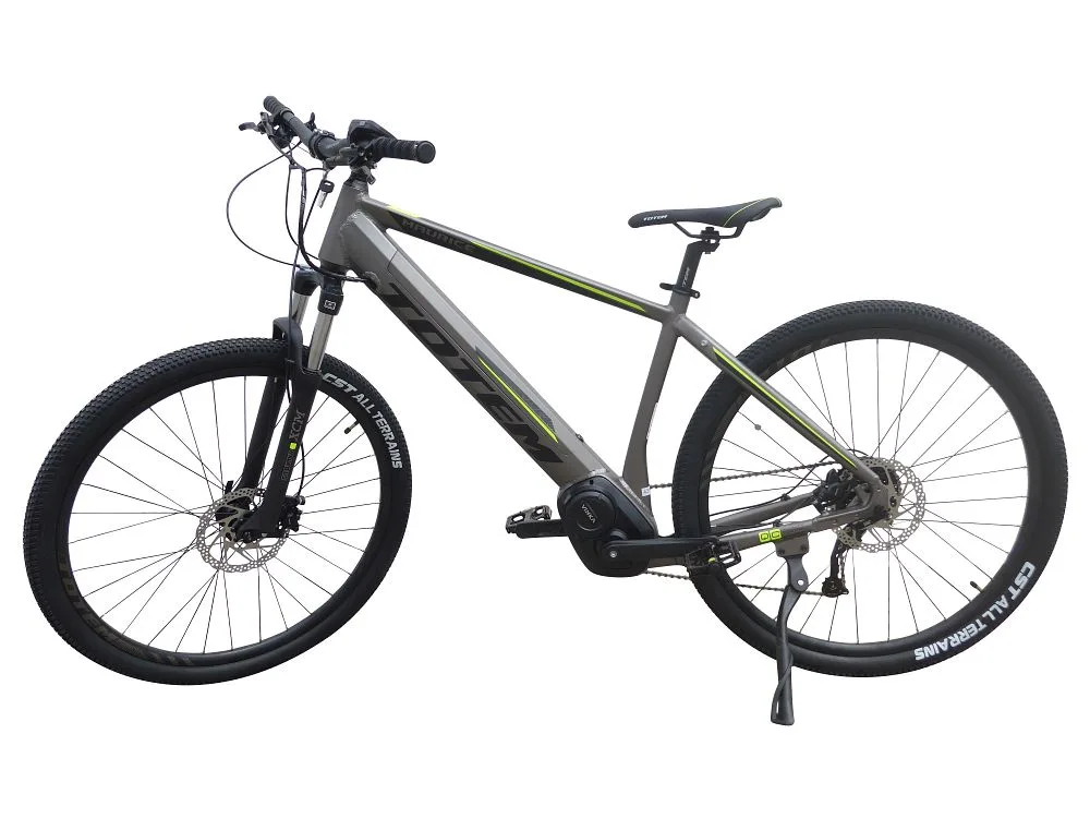 TOTEM Maurice E-Mountainbike in Silber – modernes Elektro-MTB mit starkem Antrieb für Berg- und Waldtouren