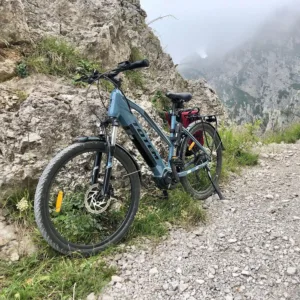 E-Trekkingbikes